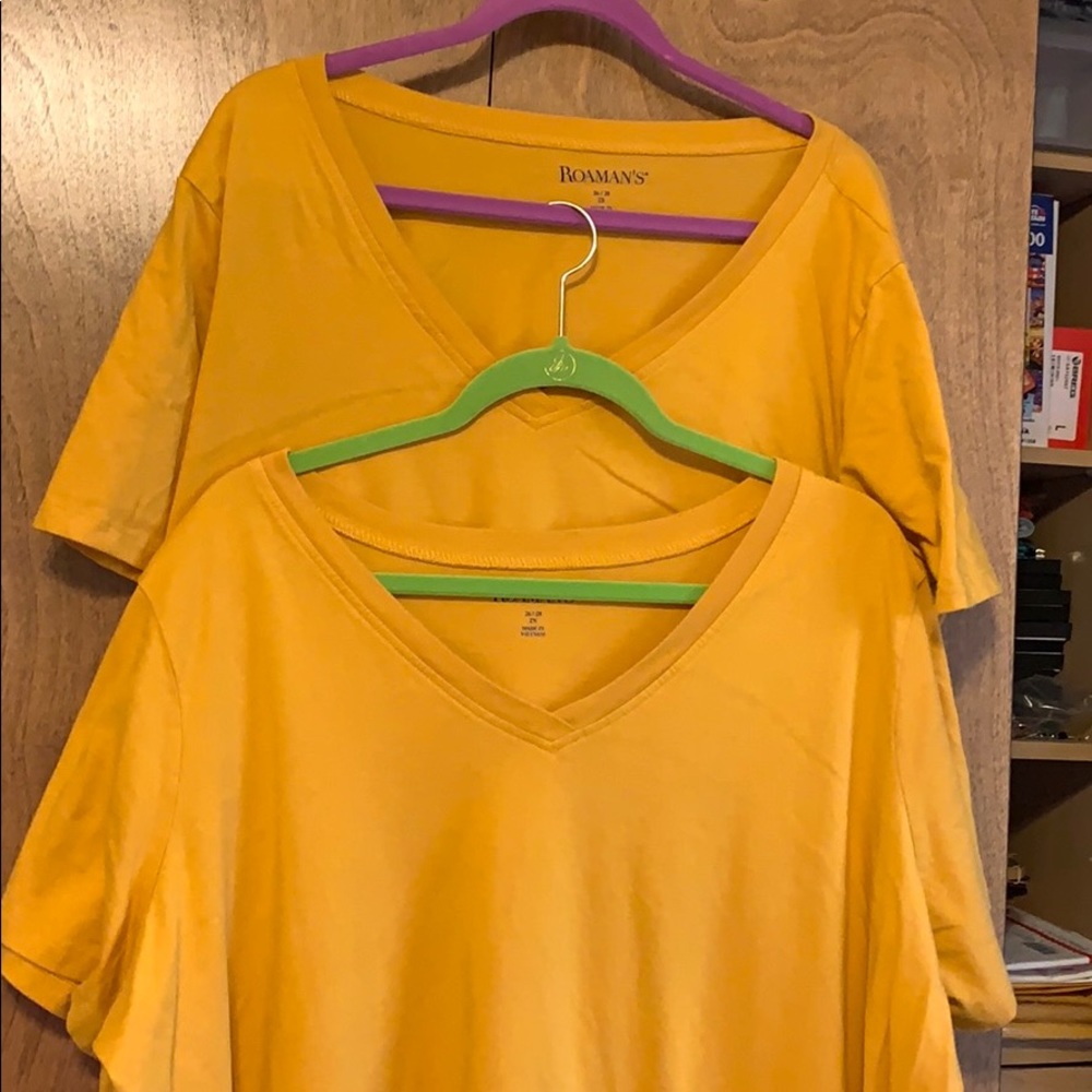 Roamans tunics size 26-28